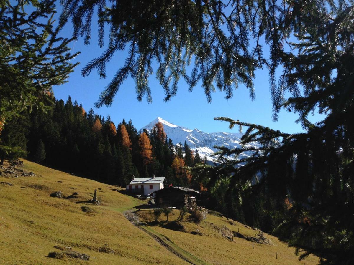 Chalet Del Bosco Valdisotto Exteriér fotografie